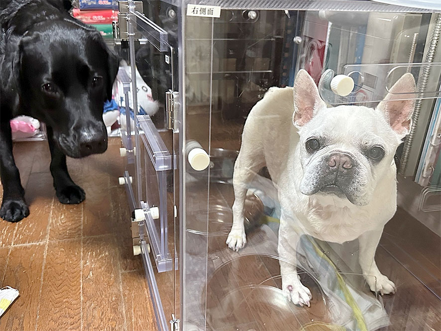 コラム写真