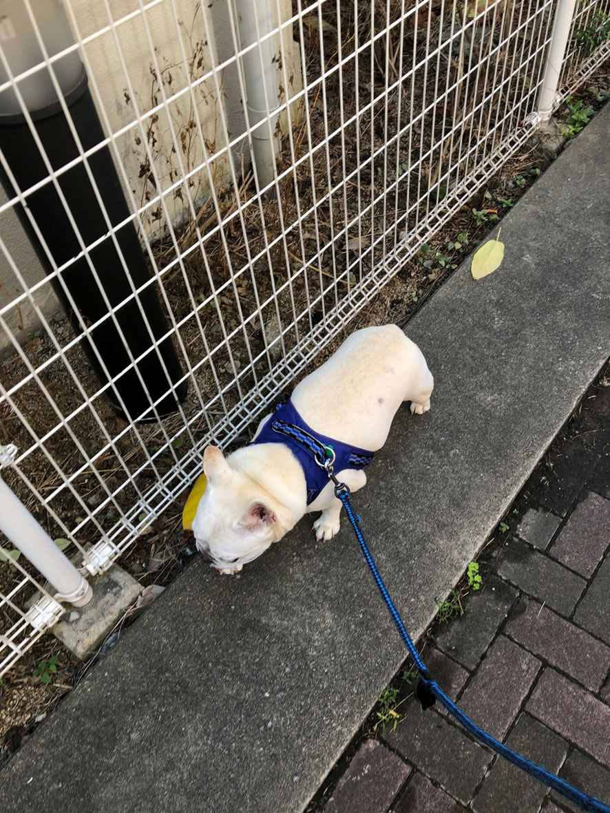 コラム写真