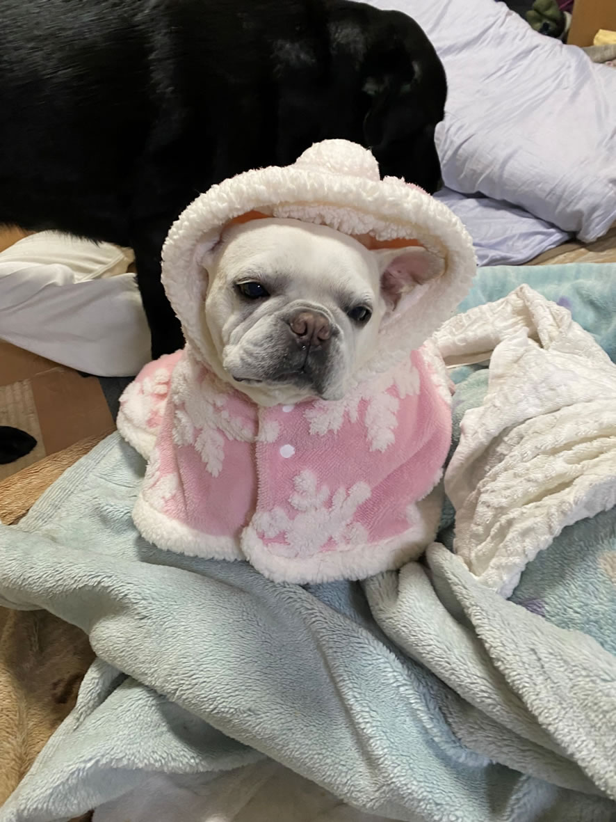 コラム写真